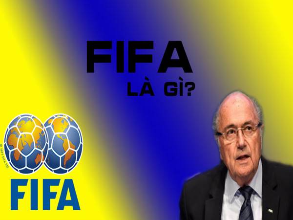 FIFA là gì? Vai trò của Liên đoàn bóng đá thế giới FIFA