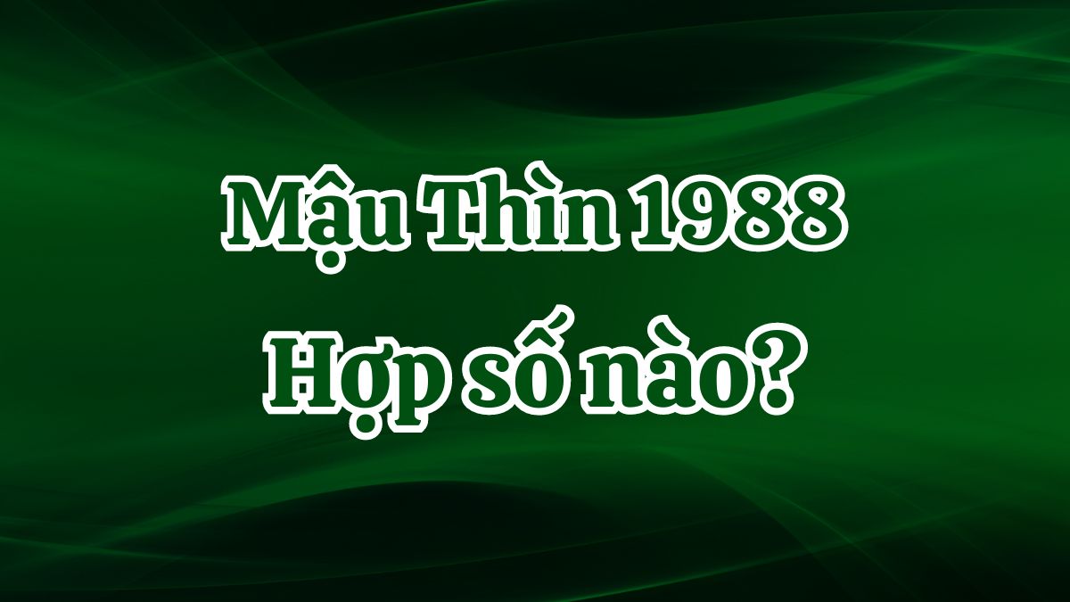 Giải mã mệnh Mộc 1988 hợp số nào để tài lộc vượng phát