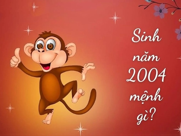 Mệnh Thủy 2004 hợp số nào thu hút phúc khí?