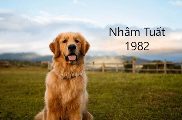 Con số tài lộc tuổi Nhâm Tuất 29/8/2025 mở ra cơ hội gì?