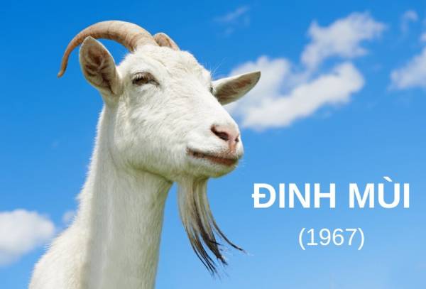 Vận trình tử vi tuổi Đinh Mùi 3/10/2025 có gì đặc biệt?