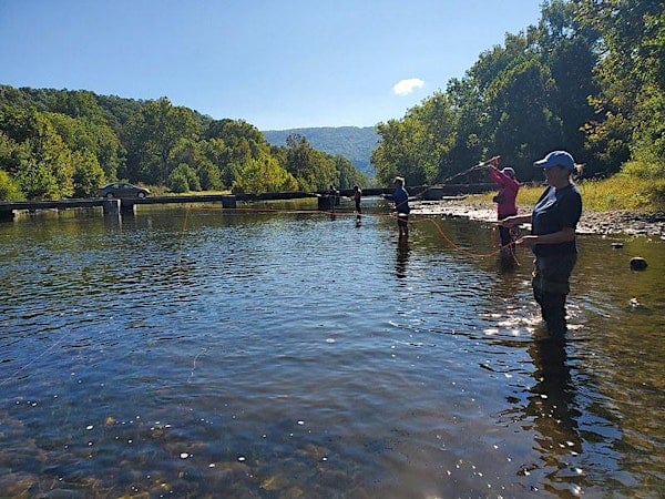 Lý giải nằm mơ thấy đi câu cá là điềm gì, con gì lộc phát?